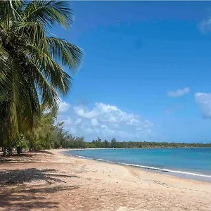 https://apartamento-cerca-de-la-playa.top-hotels-puertorico.com